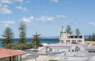 4H/3 Shakespeare Road, Napier South