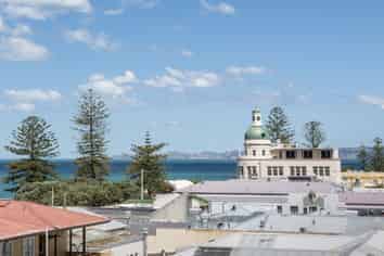 4H/3 Shakespeare Road, Napier South