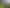 50 Maungawhare Place, Otumoetai