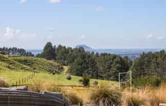 349A Whakamarama Road, Whakamarama