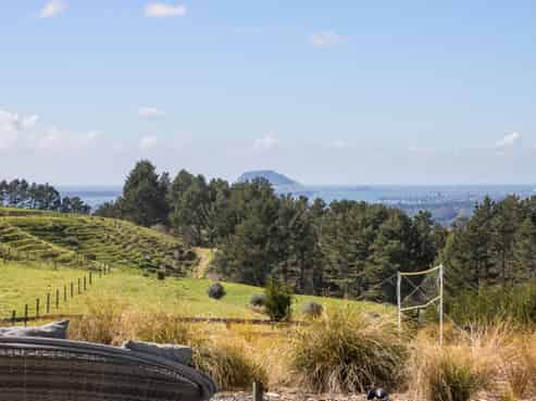 349A Whakamarama Road, Whakamarama