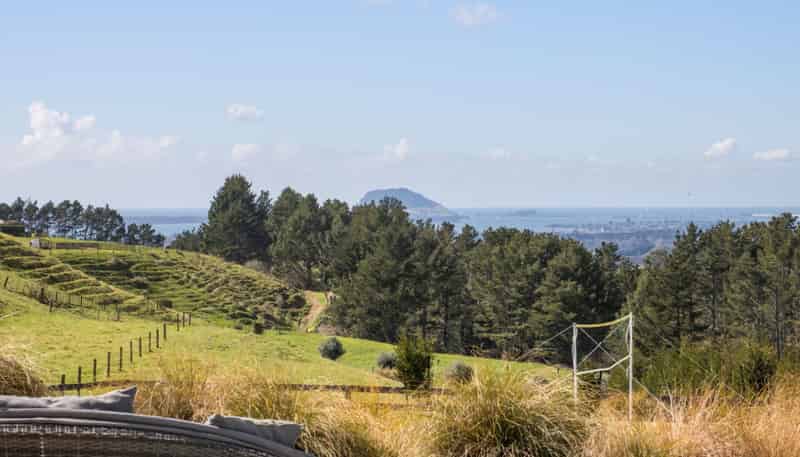 349A Whakamarama Road, Whakamarama