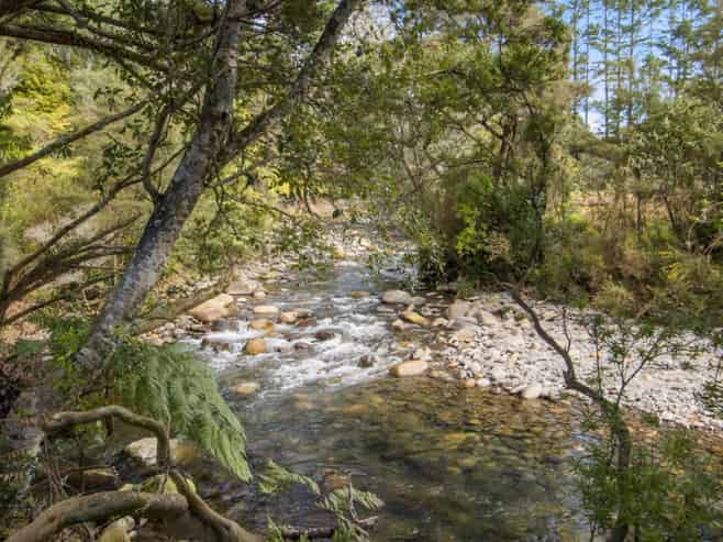 520 Wright Road, Katikati