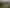 520 Wright Road, Katikati