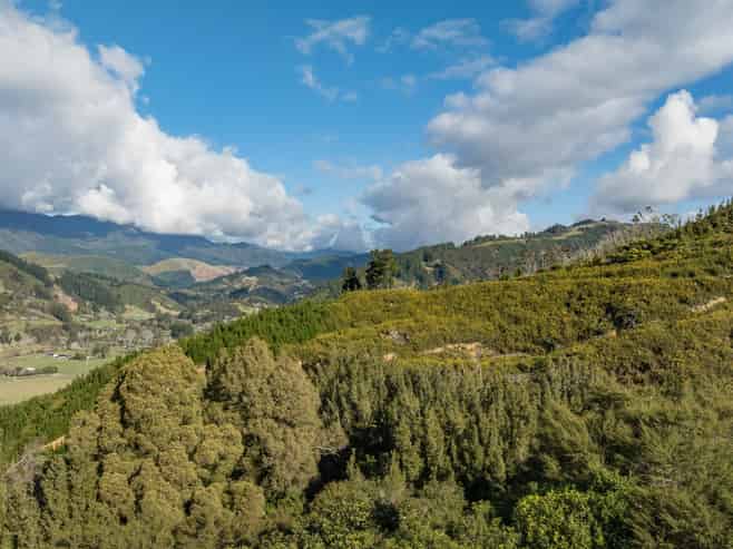 Lot 17 Drumduan Rise Subdivision, Hira