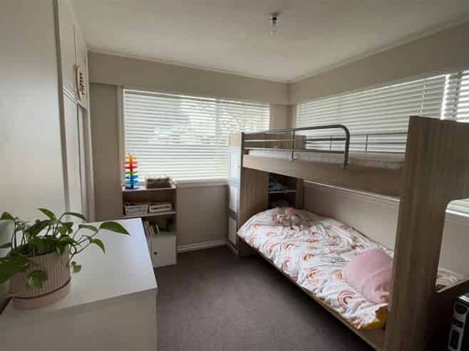 38 Leefield Street, Blenheim Central