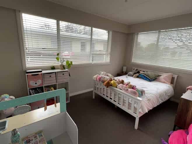 38 Leefield Street, Blenheim Central