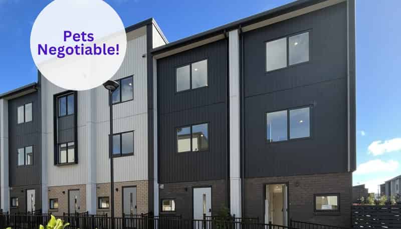 2/25 Jabuka Street, Glen Eden