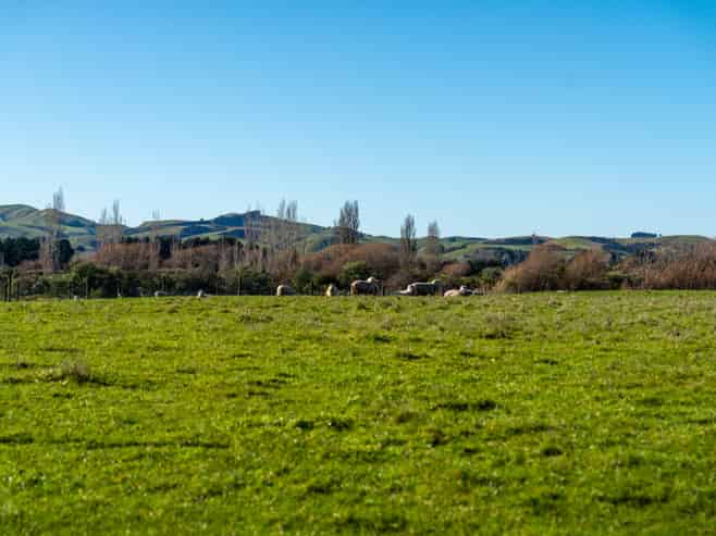 64B Opaki Kaiparoro Road, Masterton