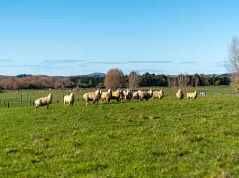 64B Opaki Kaiparoro Road, Masterton