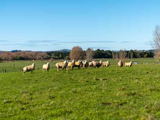 64B Opaki Kaiparoro Road, Masterton