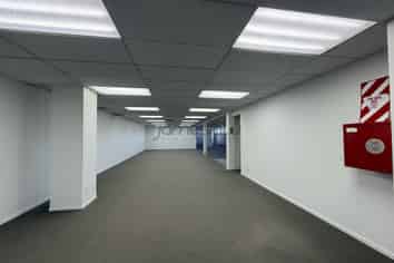 Modern Wairau Office with Huge Exposure