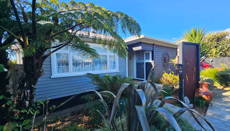 217 Bath Street, Levin