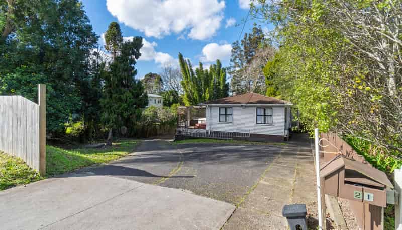 21 Nikau Street, New Lynn