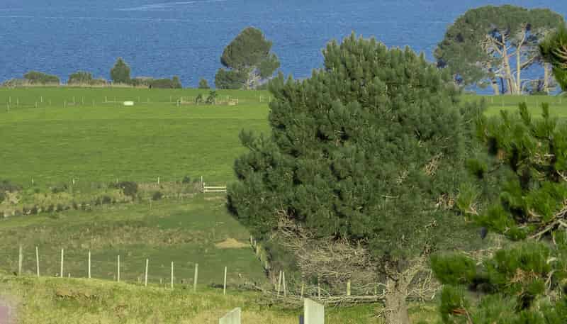 48 Andrew Pye Road, Manukau Heads