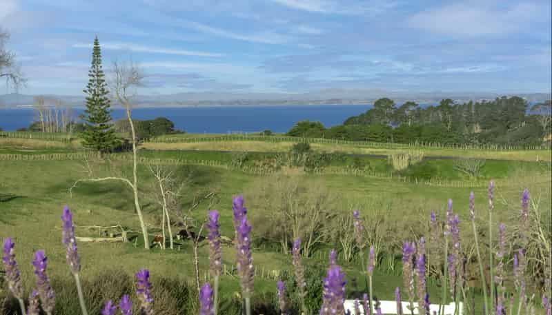 48 Andrew Pye Road, Manukau Heads