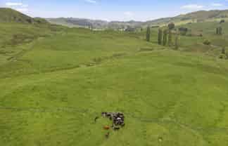  758 State Highway 3, Te Mapara