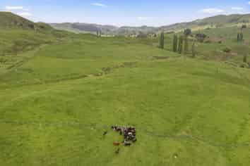  758 State Highway 3, Te Mapara