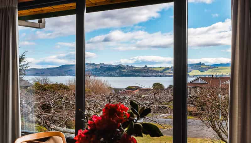 65 Harvey Street, Waipahihi