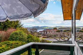 65 Harvey Street, Waipahihi
