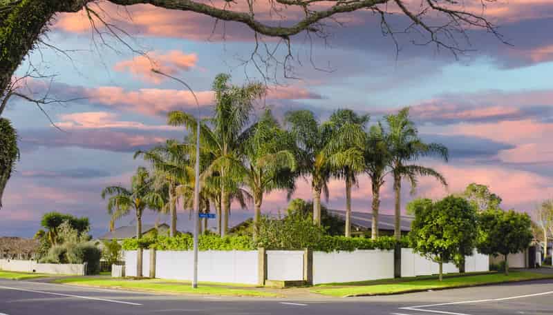 95 Edinburgh Street, Pukekohe