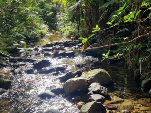 867 Tuateawa Road, Little Bay, Tuateawa