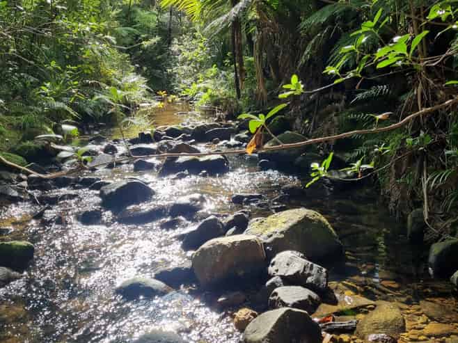 867 Tuateawa Road, Little Bay, Tuateawa
