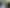 Auckland - Address withheld