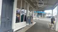 Open gallery