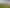 57 Cherry Lane, Tamahere