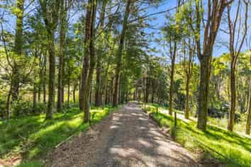 1409SH Tairua Whitianga Hwy, Whitianga
