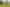 Northland - Address withheld