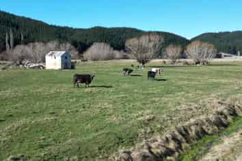  Waipori Road, Lawrence
