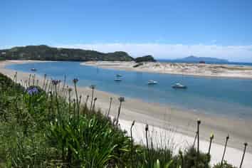 The heart of Mangawhai's future