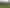 Wellington - Address withheld