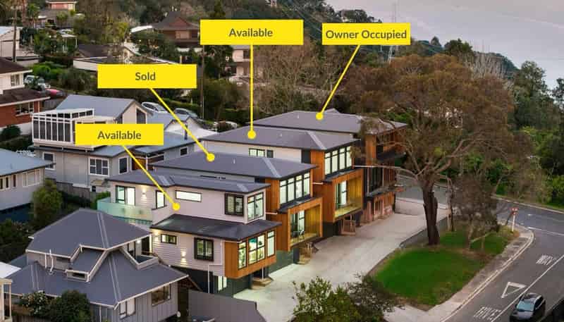 1/1 George Laurenson Lane, Mount Roskill