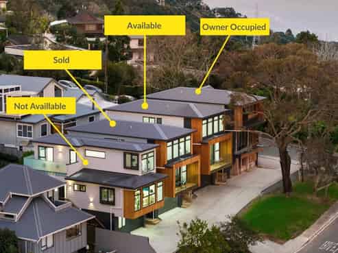 1/1 George Laurenson Lane, Mount Roskill
