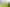 1/29 Edwin Freeman Place, Ranui