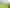 1/29 Edwin Freeman Place, Ranui