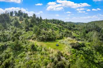 Lot 3 Radiata Road, Warkworth