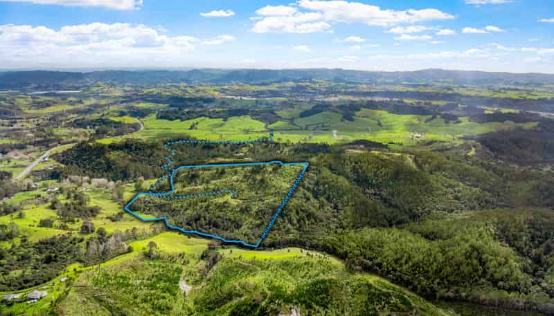 Lot 3 Radiata Road, Warkworth