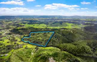 Lot 3 Radiata Road, Warkworth