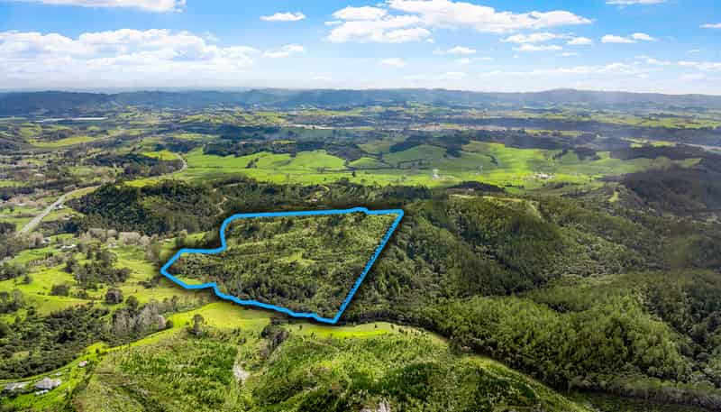 Lot 3 Radiata Road, Warkworth