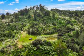 Lot 3 Radiata Road, Warkworth