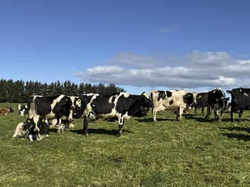 169 Hamilton Road, Isla Bank