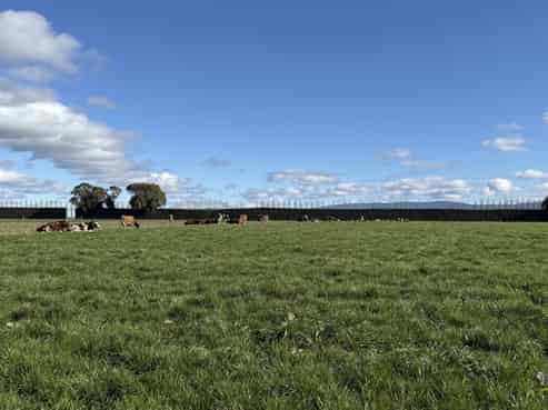 169 Hamilton Road, Isla Bank