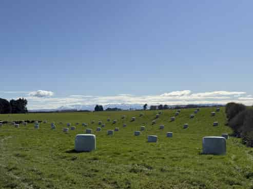 169 Hamilton Road, Isla Bank