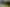 88 Cron Street, Franz Josef Glacier