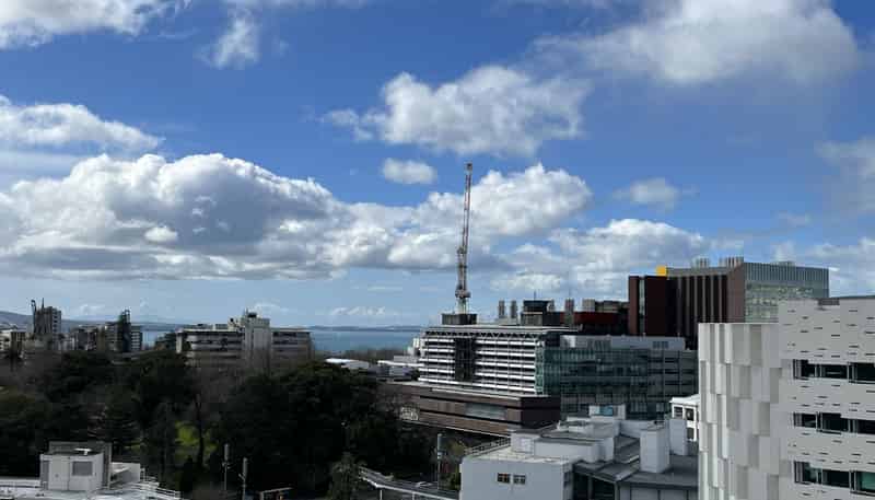 1602/8 Airedale Street , Auckland Central