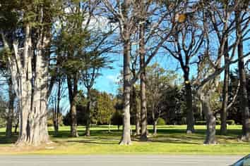 131 Domain Avenue, Temuka